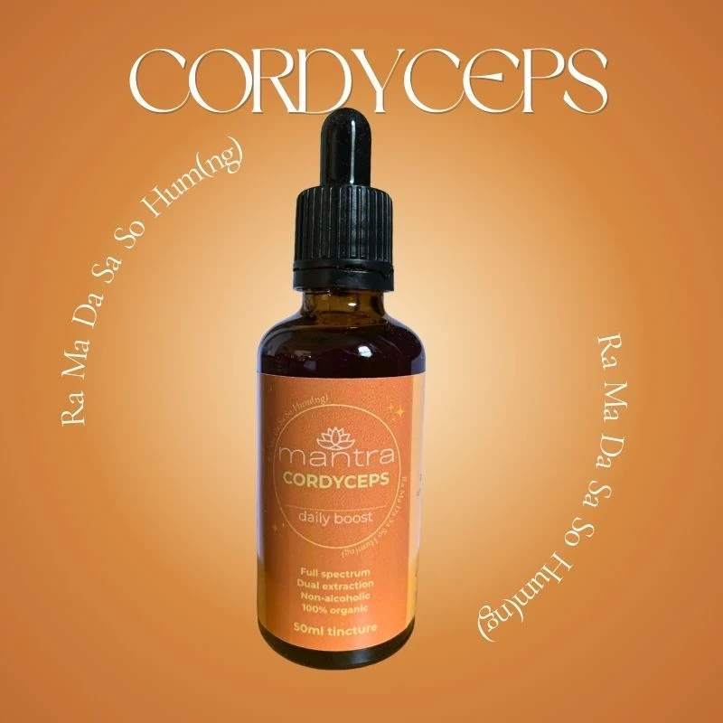 Cordyceps Tincture